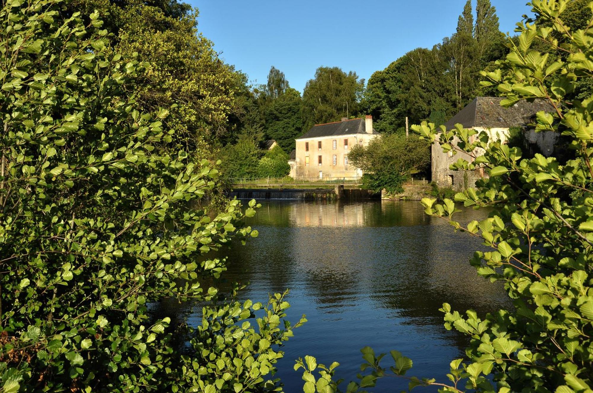 Segré Grange Du Plessis B&B 외부 사진